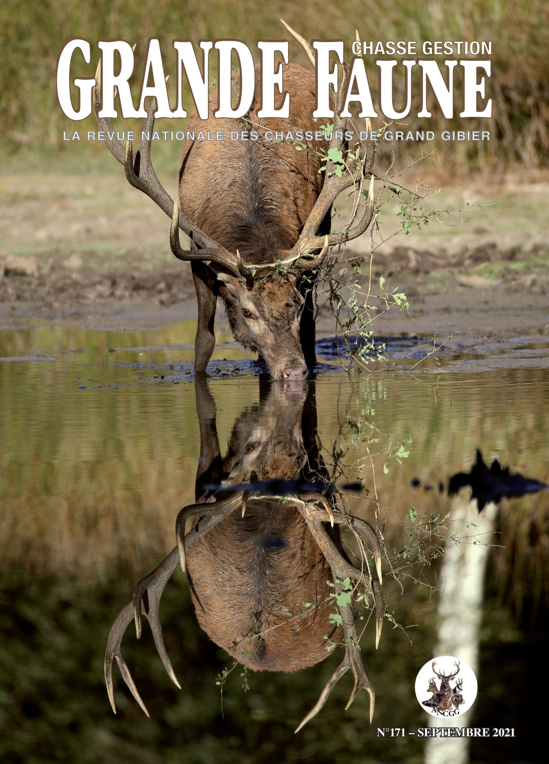 Les curiosités du chamois et de l’Isard - FRANÇOIS Alain (Dr)