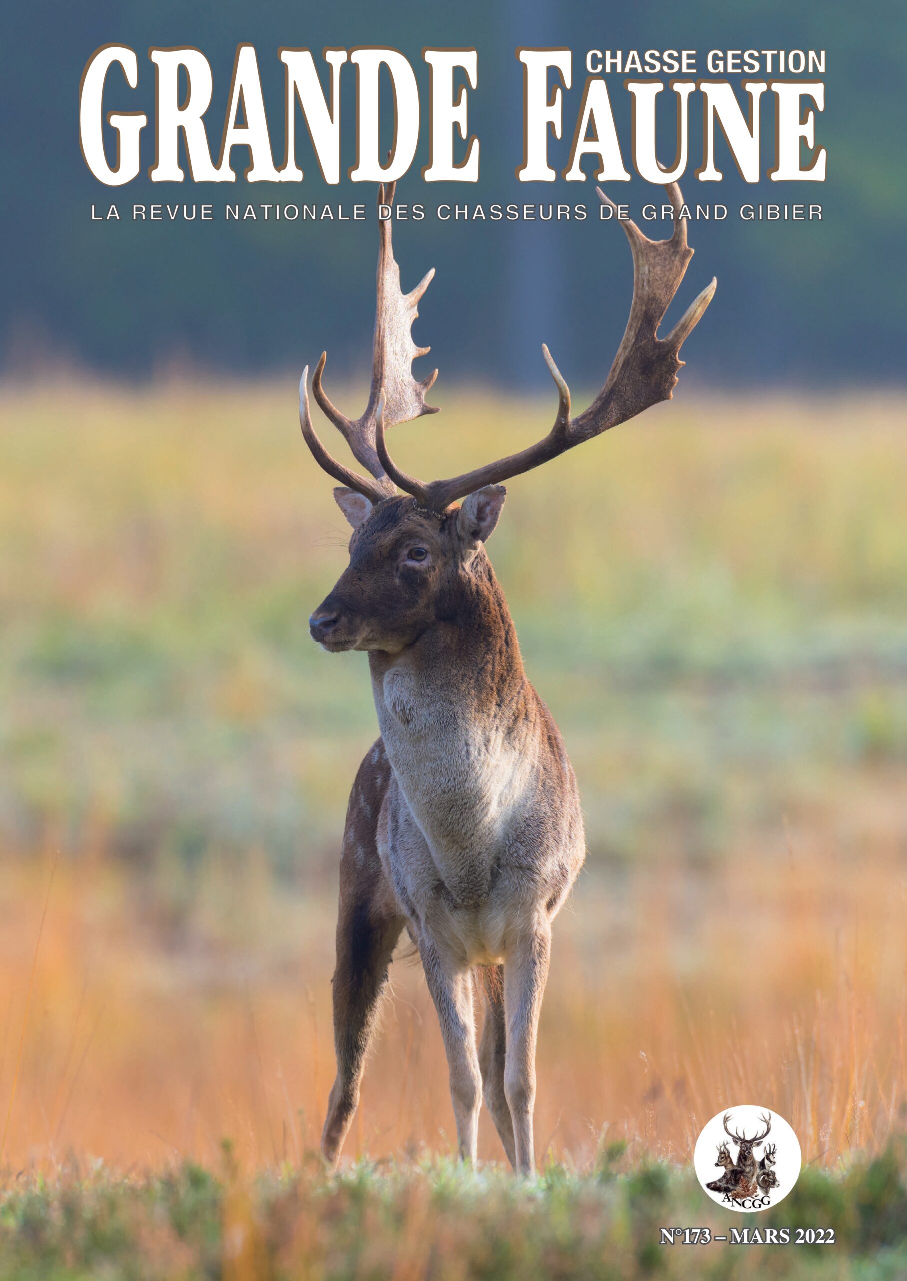 Plan de maîtrise du sanglier - Les prélèvements finalement confiés aux Conseils cynégétiques - THIERNESSE Jean-Marc