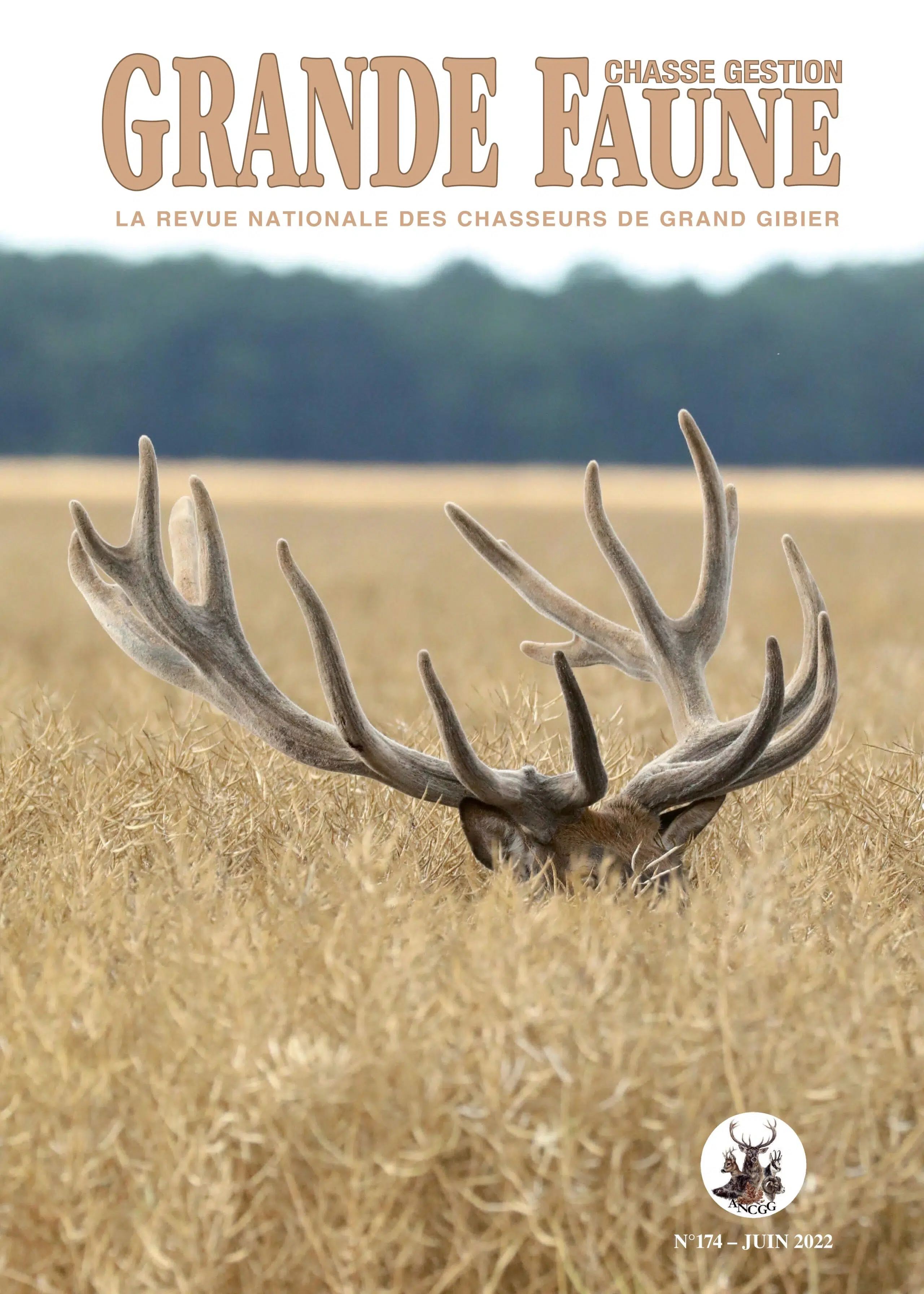 La Grande-Bretagne s'apprête à interdire l'importation des trophées de chasse - JOURNEUX Pierre