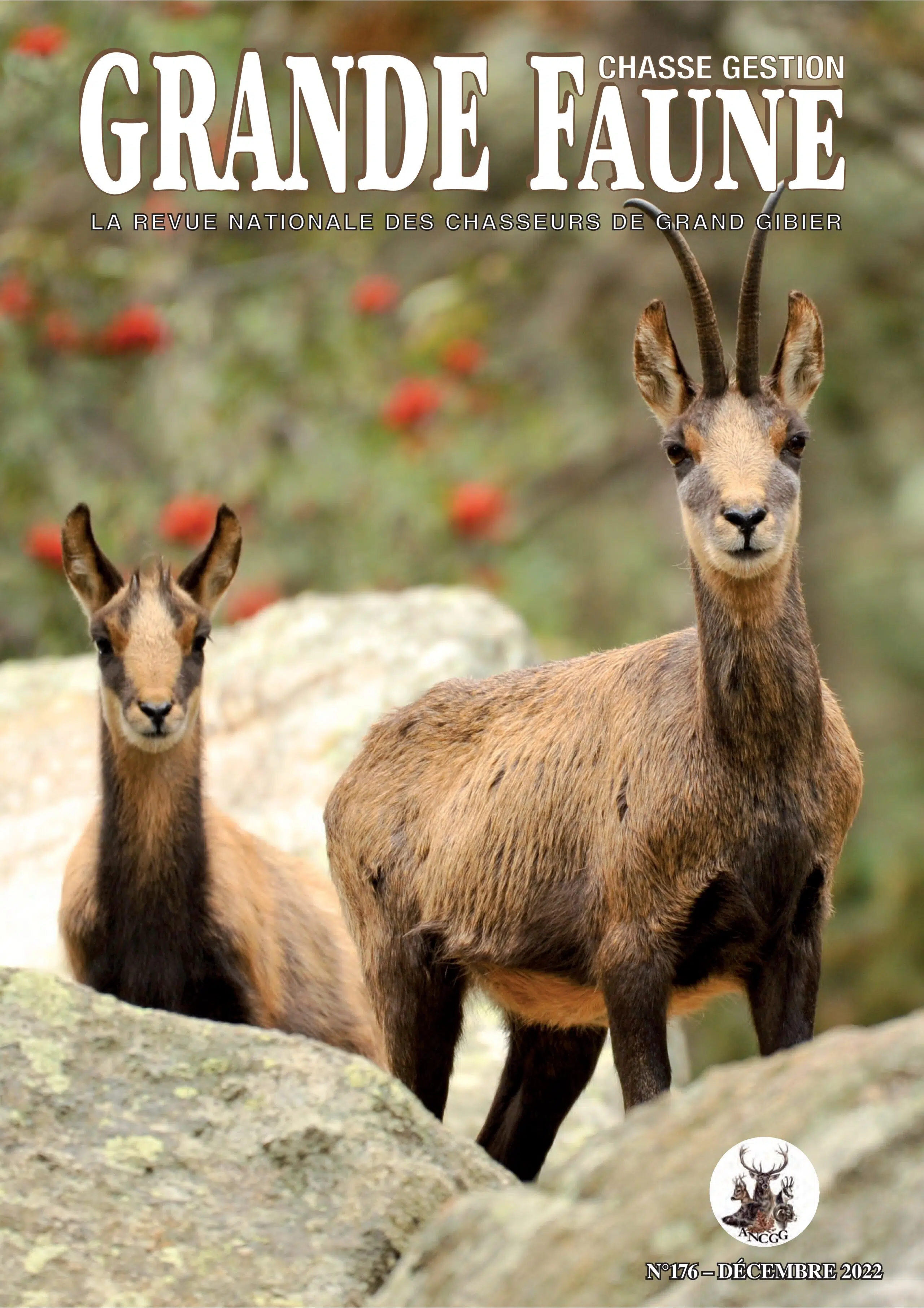 Tension en Alsace - MERTZ Antoine | PICOT Julien