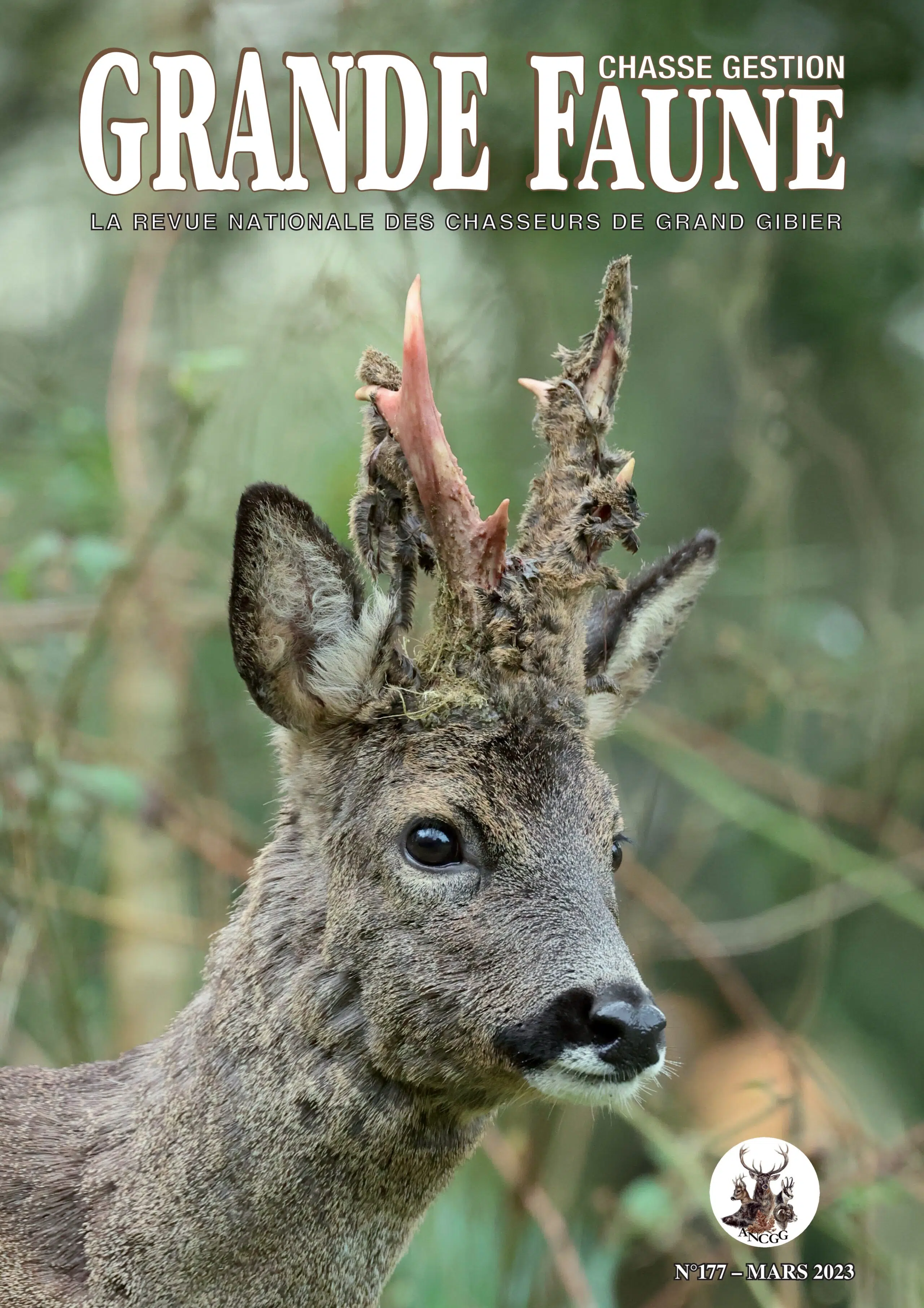 80è anniversaire de l'évasion de Claude Hettier de Boislambert - FIEVET Bernard