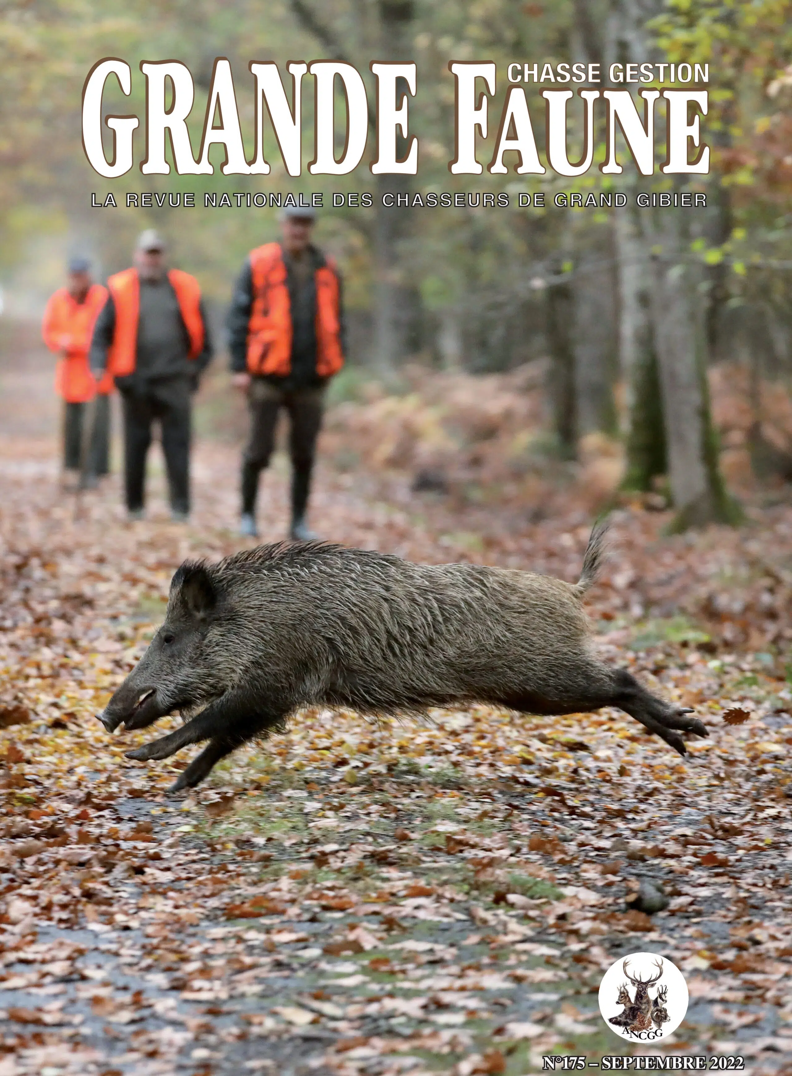 L'apport des applications cartographiques - BÉDARIDA Gérard