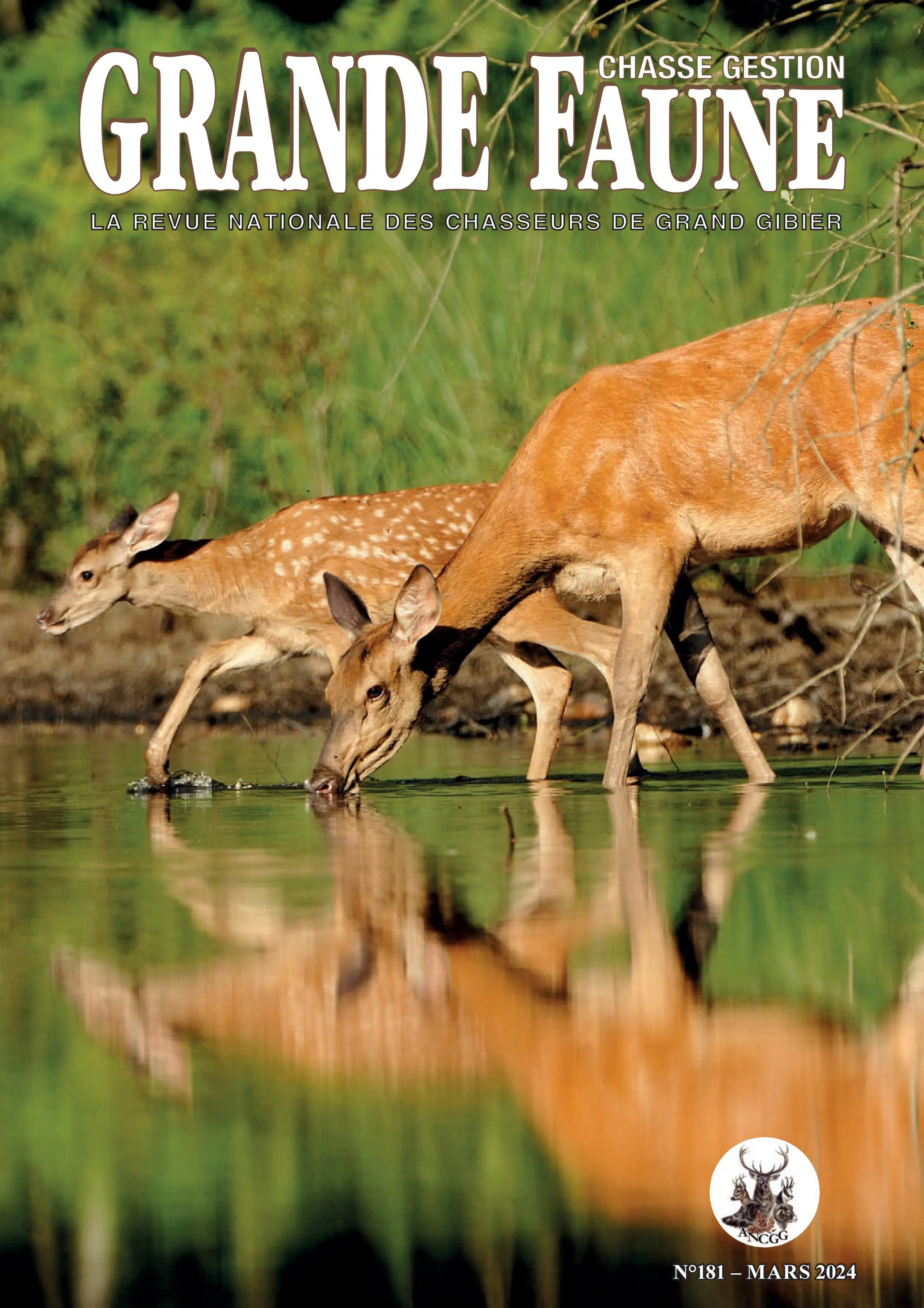 Labellisation des premiers sites pilotes - Démarche Brossier-Pallu pour un équiliobre forêt-gibier - COUSTY Matthieu (Dr)