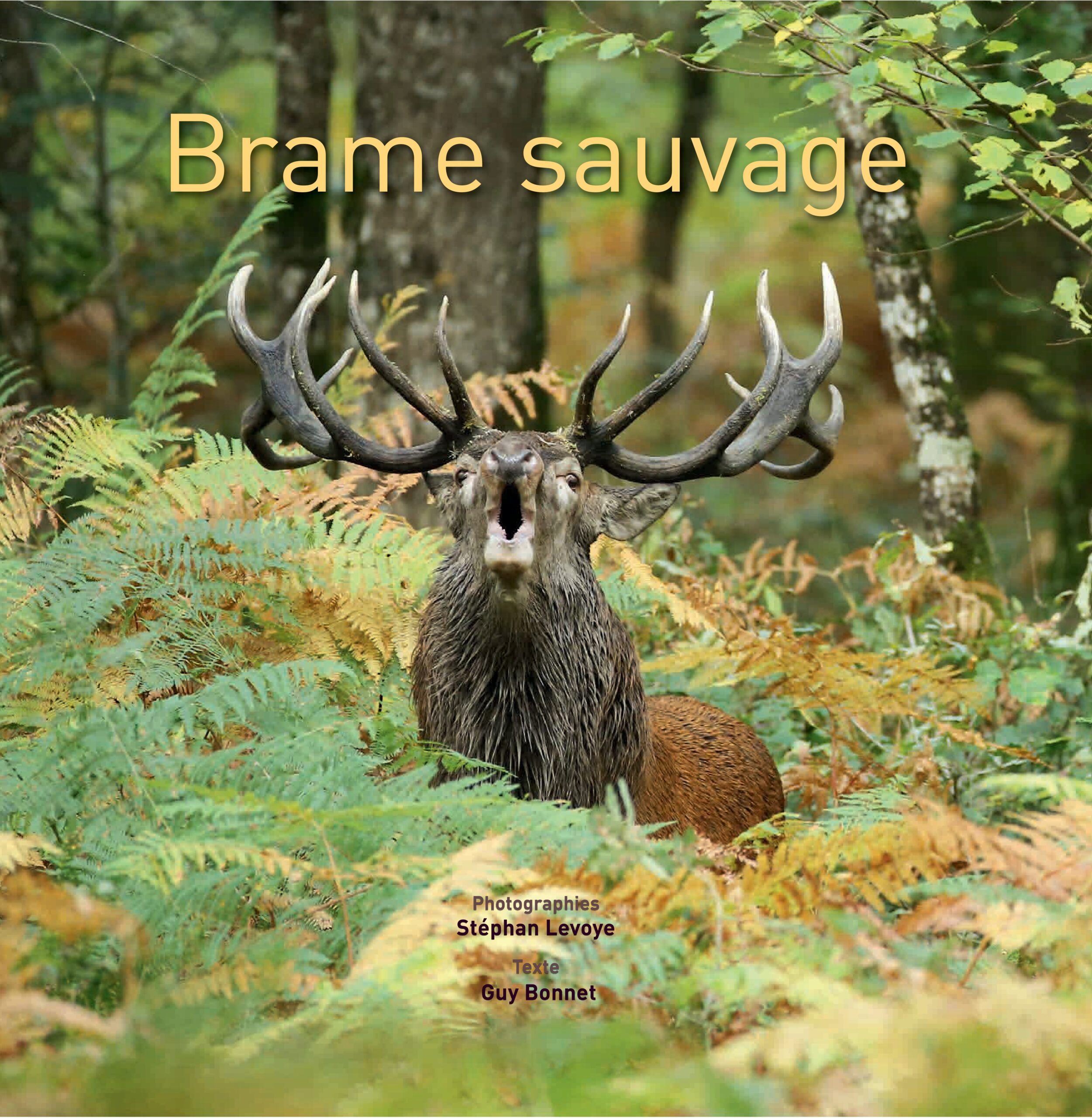 Brame sauvage – Stéphan LEVOYE et Guy BONNET - BONNET Guy | Levoye Stephane